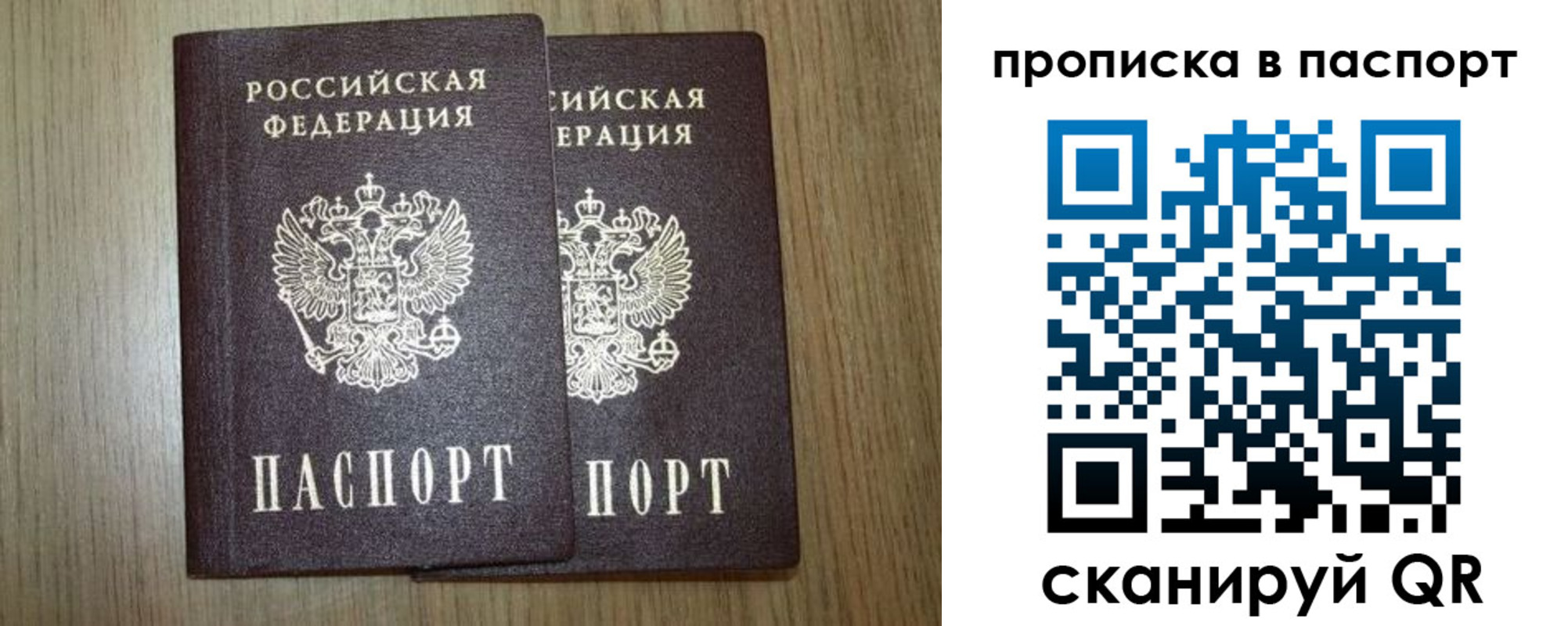 прописка ребенка в Коле